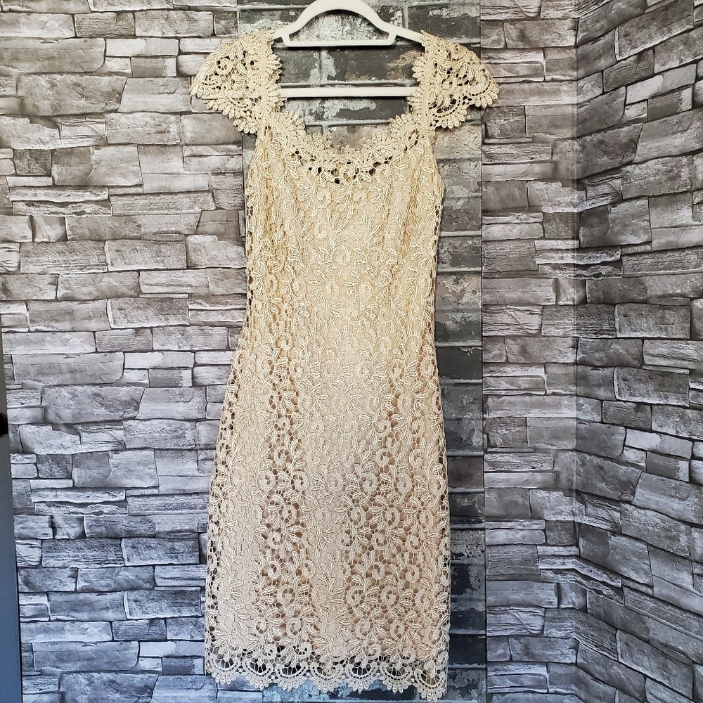 Betsy Adam Crochet Gold Metallic Nude Midi Dress Cap Sleeves Size 4 Party Formal